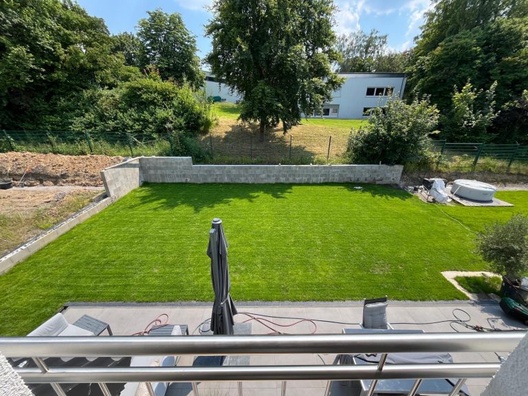 Nachher Bild. Satt-grüner, dicht gewachsener Rasen.