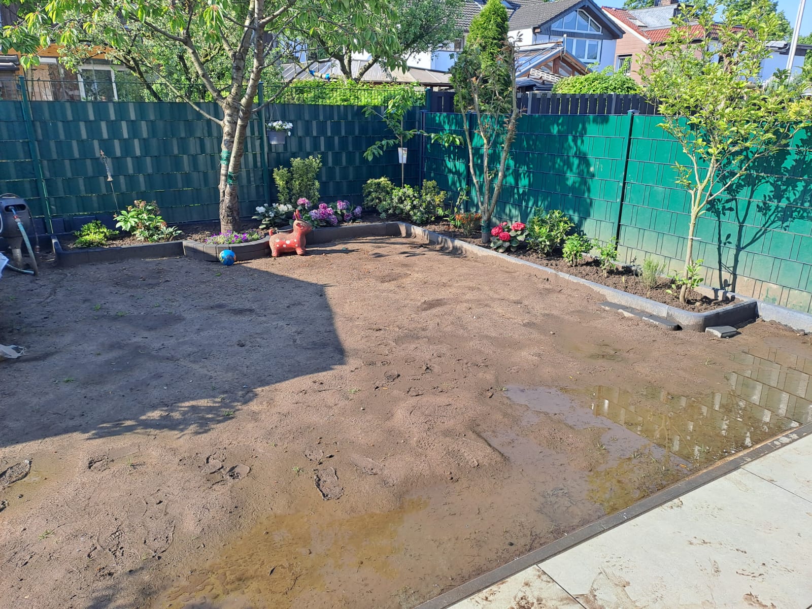 Rasen neu anlegen vorher lückiger Gartenrasen mit Schlamm